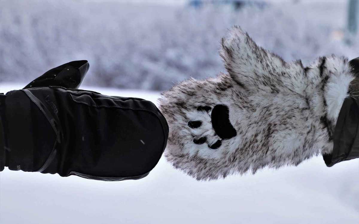 Are Animal Mittens Warm Enough for Winter? Here's What You Should Know!